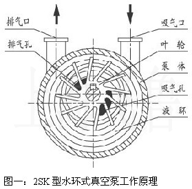 2SK型水環(huán)式真空泵工作原理